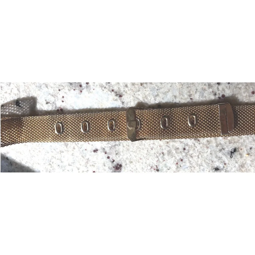 Napier Vintage Gold Tone Mesh Belt Woven Metal Adjustable Buckle Accessory